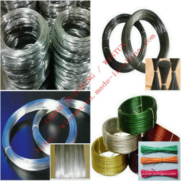 Galvanized Iron Wire Binding Wire PVC Wire Stainless Steel Wire
